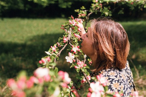 “I drink herbal tea because I believe in it, not because it’s my profession” | Interview with Zsuzsanna Lopes-Szabó