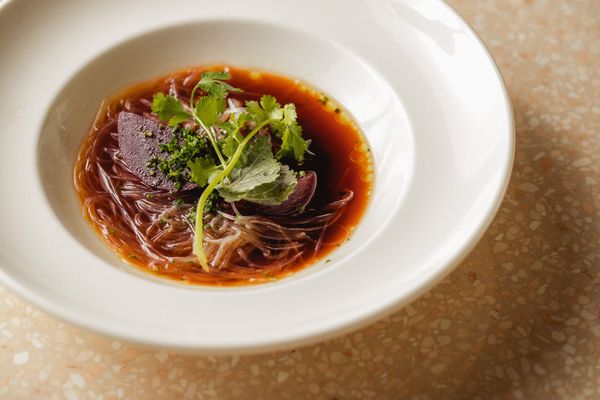 A character shift at the Kopaszi Dam—the SHO has landed