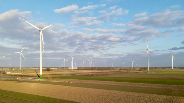 Elindult Lengyelország második legnagyobb szélerőműparkja