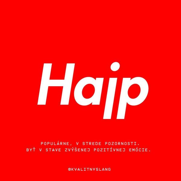 “Our mission is to help people understand each other better” | Kvalitný Slang