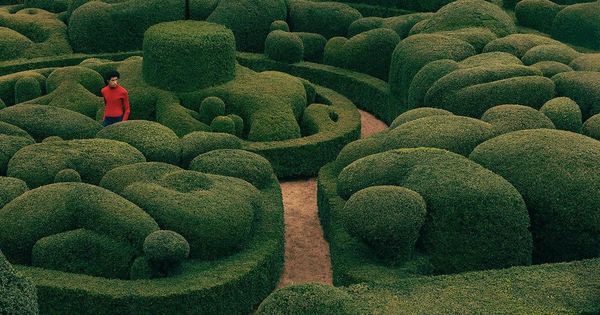 Perplexing gardens in the new exhibition of Vitra Design Museum