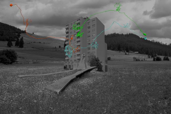 Agykutató és művész találkozása a galéria falán