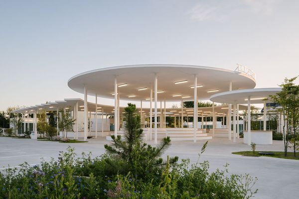 A fusion of a market and a park: introducing Targ Błonie!