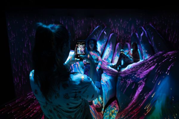 Hungary’s first immersive digital art exhibition space opens