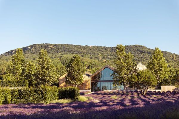 A venue for all seasons | Daalarna Garden opens