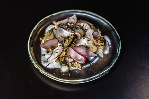 Az a szabály, hogy nincs szabály – MÓR24