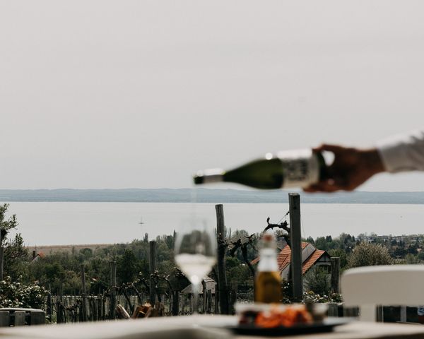 Woodstock a balatoni hegyoldalban, pezsgővel, gourmet közönséggel